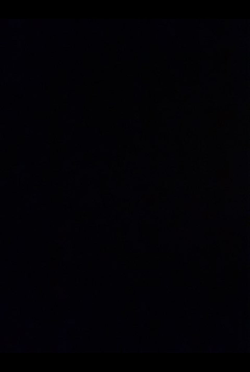 Fyldningsdør massiv fabriksny